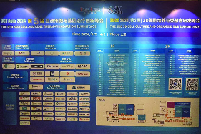 香港十二生肖买马图